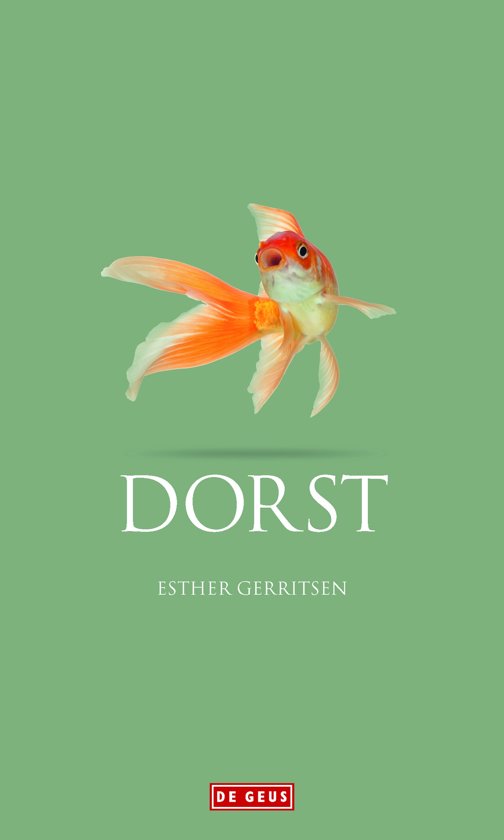 Boekverslag / samenvatting Dorst - Esther Gerritsen