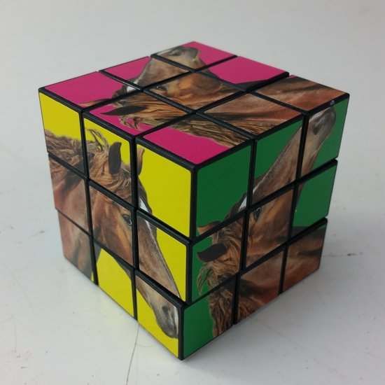 Thumbnail van een extra afbeelding van het spel Rubiks kubus Paarden - Display a 12 stuks - 6x6x6cm