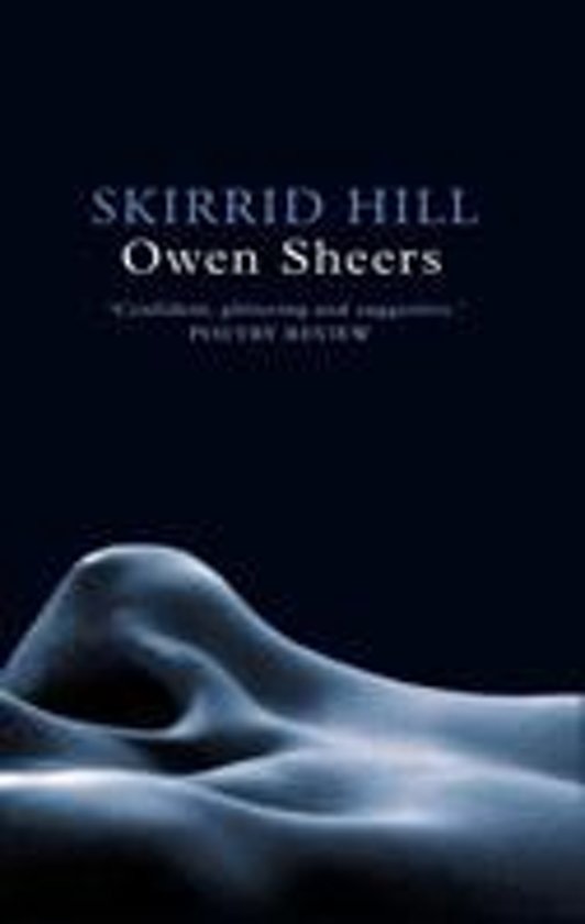 Within the Skirrid Hill collection, Sheers presents men as both failures and bullies, who are often shown to possess a violent nature and a domineering persona