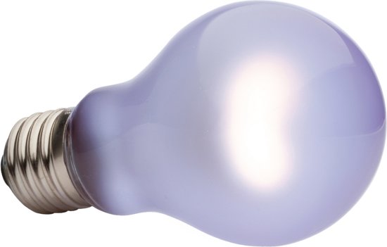 Neodymium Daglichtlamp Sg A19 60W