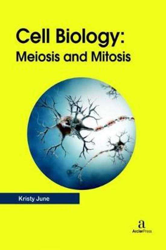 Biology IEB: Meiosis