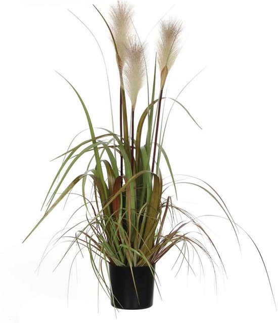 Mica Decorations pluimgras foxtail wit in pot maat in cm: 81 x 45