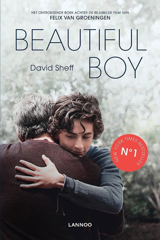 Beautiful Boy, David Sheff 9789401458450 Boeken
