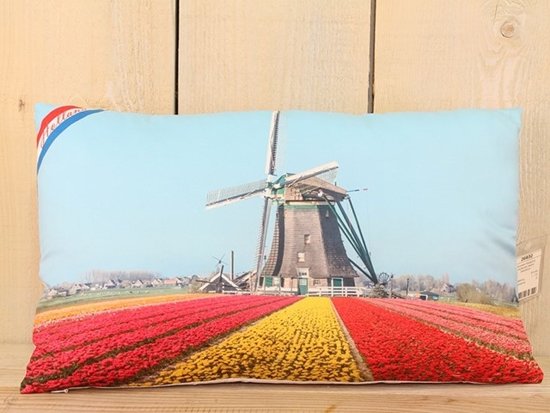 Kussen fotoprint Hollands decor 30x50cm