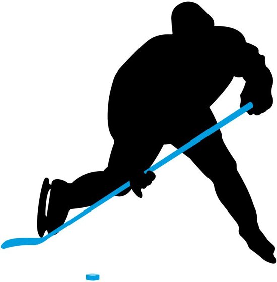 Nijdam IJshockeystick Hout/Glasfiber Sr - 155 cm - Zwart/Fluorgeel/Zilver - Links