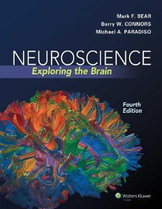 Test Bank for Neuroscience Exploring the Brain 4th Edition by Mark F. Bear, Barry W. Connors, Michael A. Paradiso |Complete Answer||Latest Update