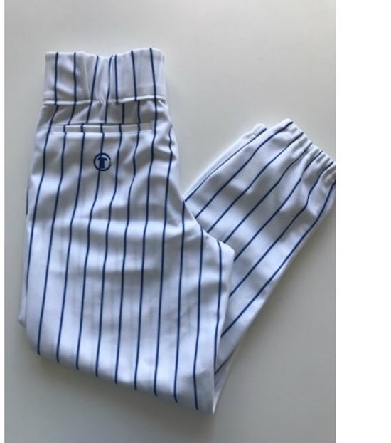 TAG Royal Pinstripe YOUTH Baseball Pants - White/Royal - Youth X-Large