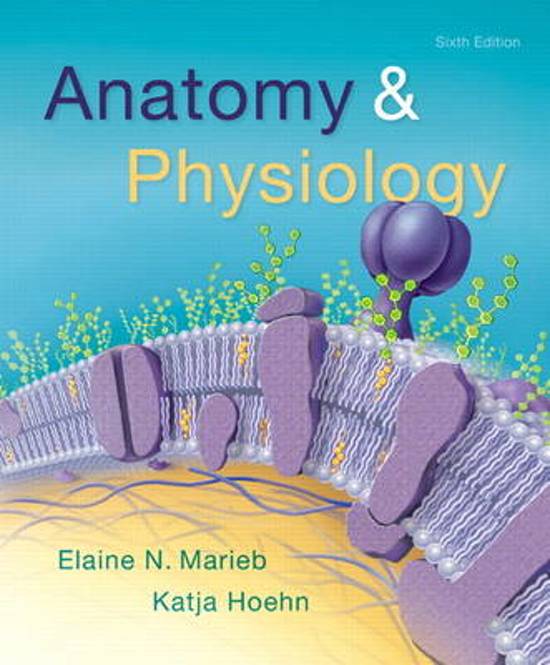 Test Bank - Anatomy & Physiology, 6th Edition (Marieb, 2017) Chapter 1-26 | All Chapters