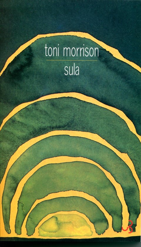 Sula, Toni Morrison DETAILED BOOK SUMMARY by Riya Naidoo