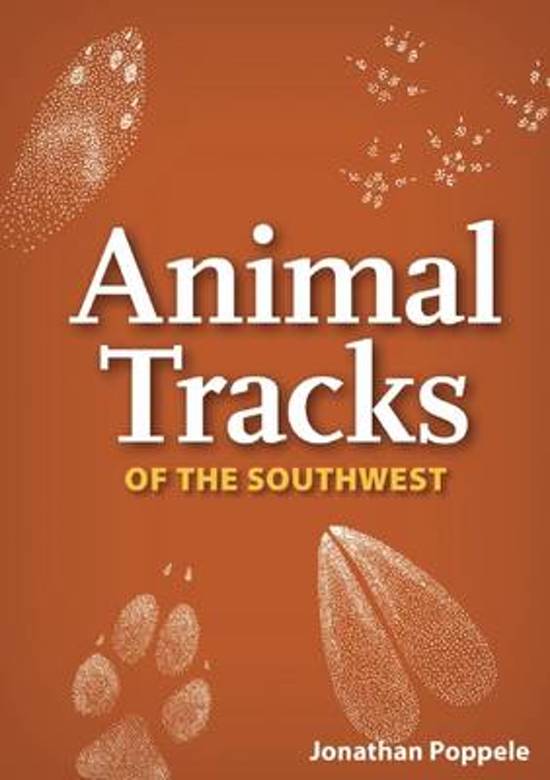 Afbeelding van het spel Animal Tracks of the Southwest