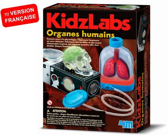 Afbeelding van het spel 4m Kidzlabs Menselijke Organen 7-delig