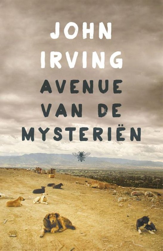 john-irving-avenue-van-de-mysterin