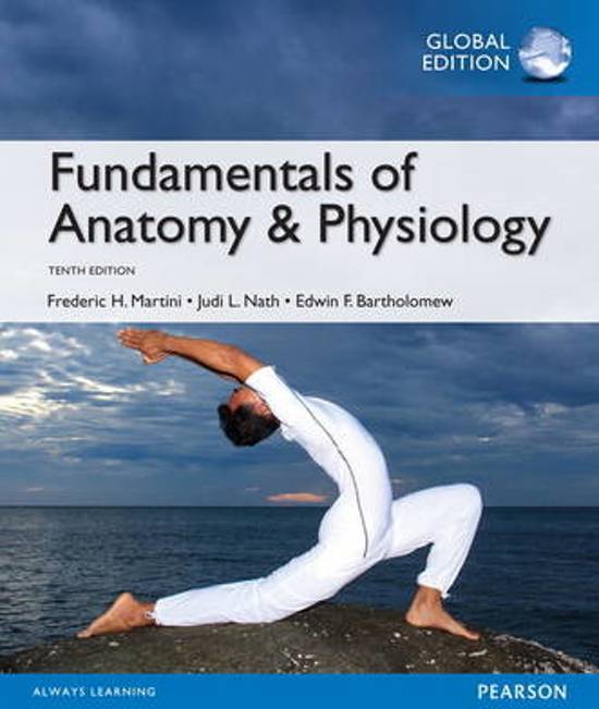 Fundamentals of Anatomy 