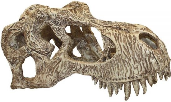 Komodo t-rex schedel large