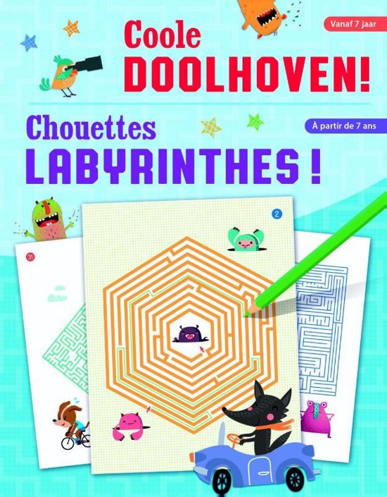 Afbeelding van het spel Coole doolhoven! (+7 j.) / Chouettes Labyrinthes! (+7 ans)