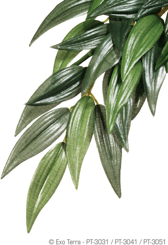 Exo Terra - Kunstplant voor Terraria - Ruscus - M - 17,5x3x55,5cm