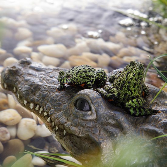 Floating Island Krokodil