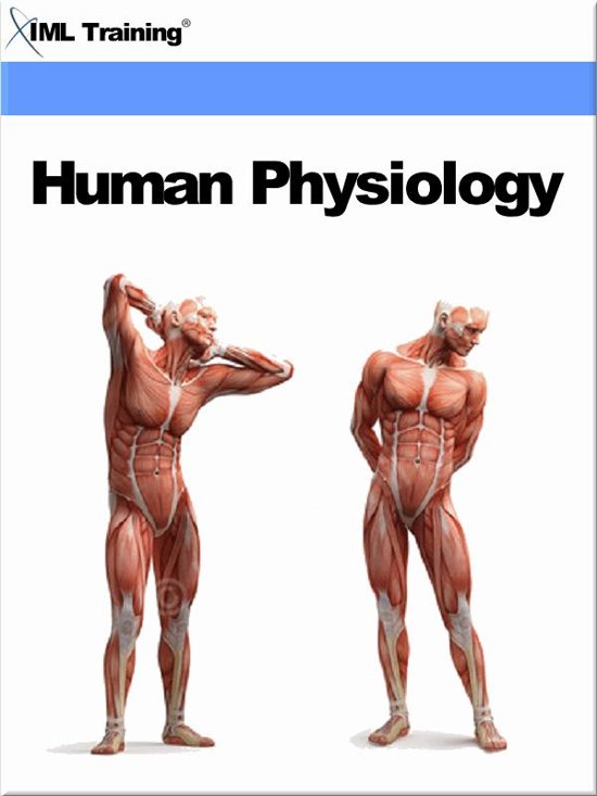 Human Physiology (Human Body)
