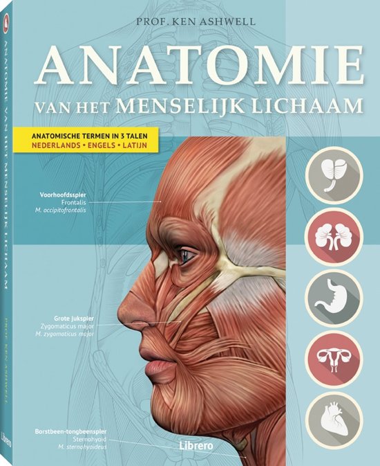 Begrippenlijst Anatomie