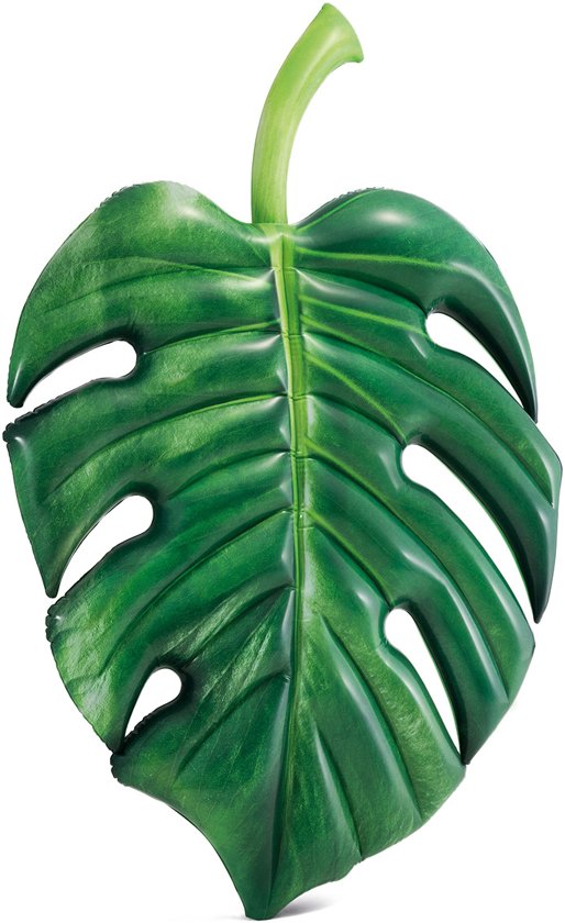 Intex palm Leaf
