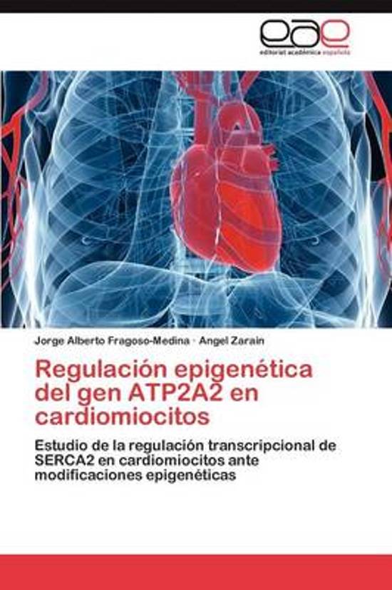 Regulacion Epigenetica del Gen Atp2a2 En Cardiomiocitos