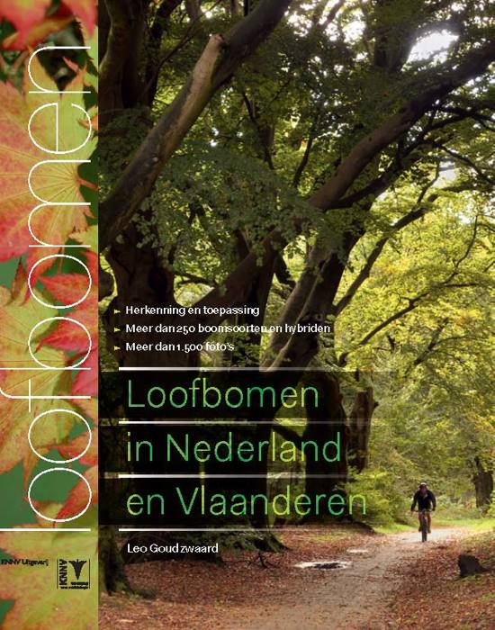 leo-goudzwaard-loofbomen-van-nederland-en-vlaanderen