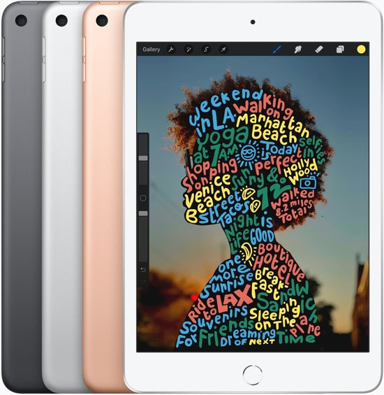 Apple iPad Mini 5 Wifi + 4G 256GB Zilver