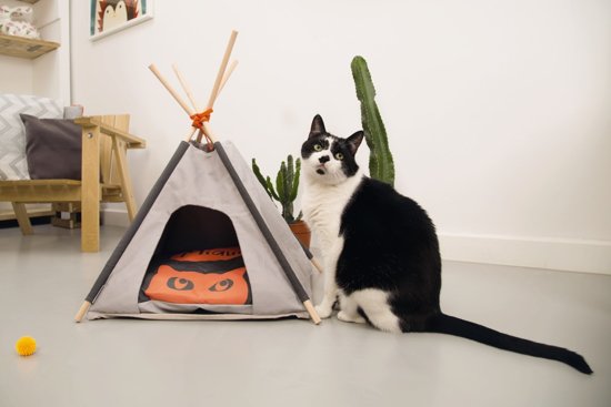 Beeztees Mohaki Tipi Tent Voor Katten - Grijs - 50 x 50 x 80 cm