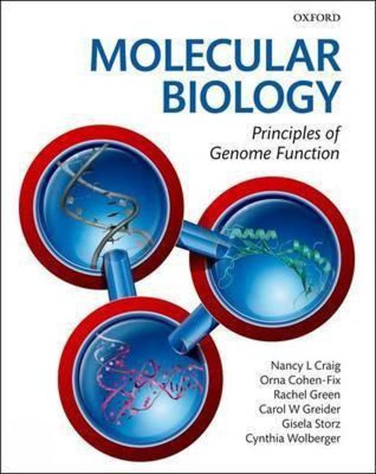 Molecular Biology Exam 2024 With Correct Answers Graded  A