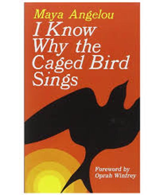 I know why the caged bird sings summary