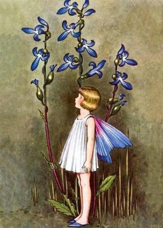 Afbeelding van het spel Fairy with Blue Lobelia Blank Greeting Card