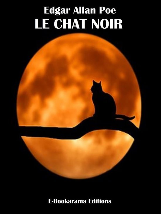 Le Chat Noir Edgar Allan Poe Résumé bol.com | Le Chat noir (ebook), Edgar Allan Poe | 9788829591145 | Boeken
