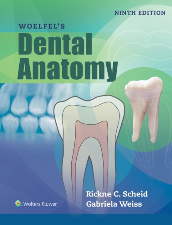 Morfologie der tanden - Kenmerken alle tanden