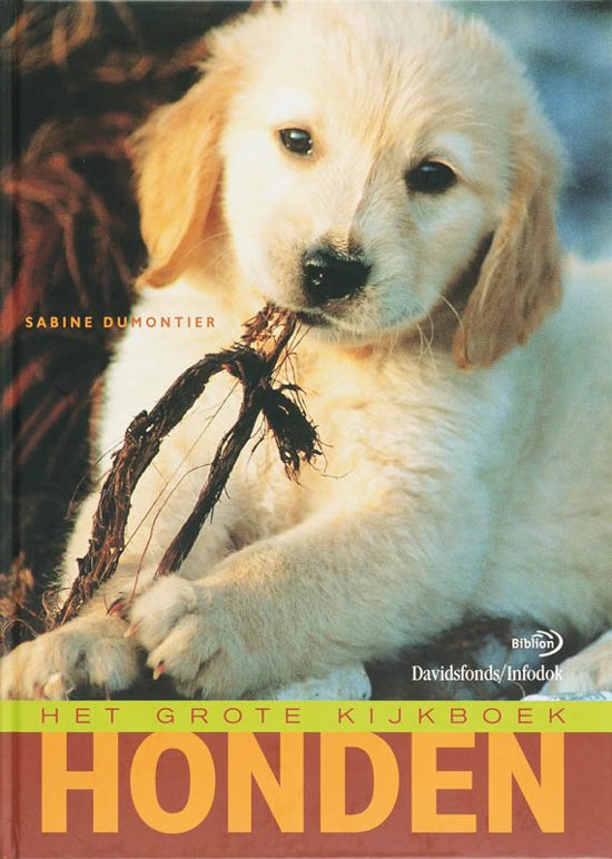 s-dumontier-het-grote-kijkboek---honden