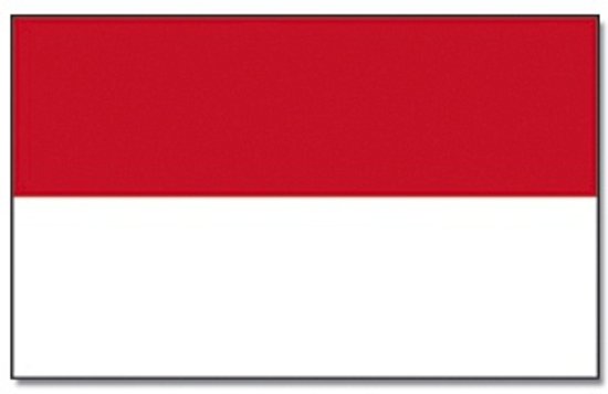 Afbeeldingsresultaat voor vlag van indonesiÃ«
