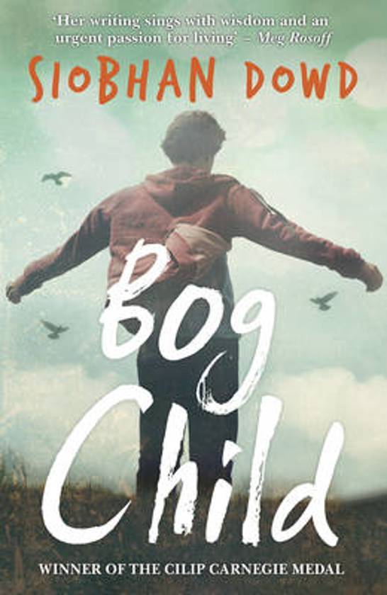 Summary book - Bog Child