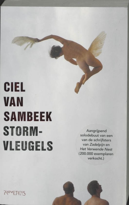 l-van-sambeek-stormvleugels