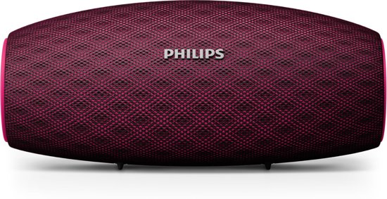 Philips EverPlay BT6900 Portable Bluetooth Speaker