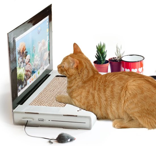 Suck UK Katten Krab Laptop