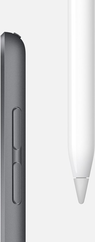 Apple iPad Mini 5 Wifi 256GB Space Gray