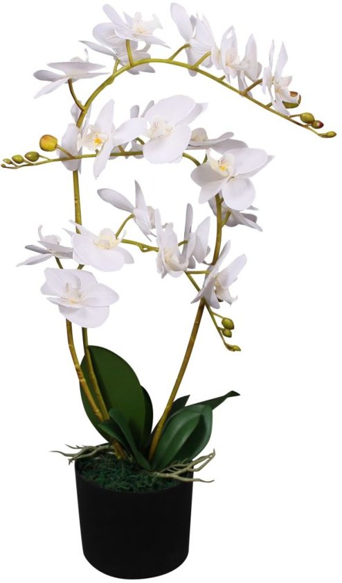 Kunst orchidee plant