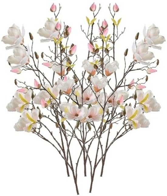 Magnolia nep bloemen