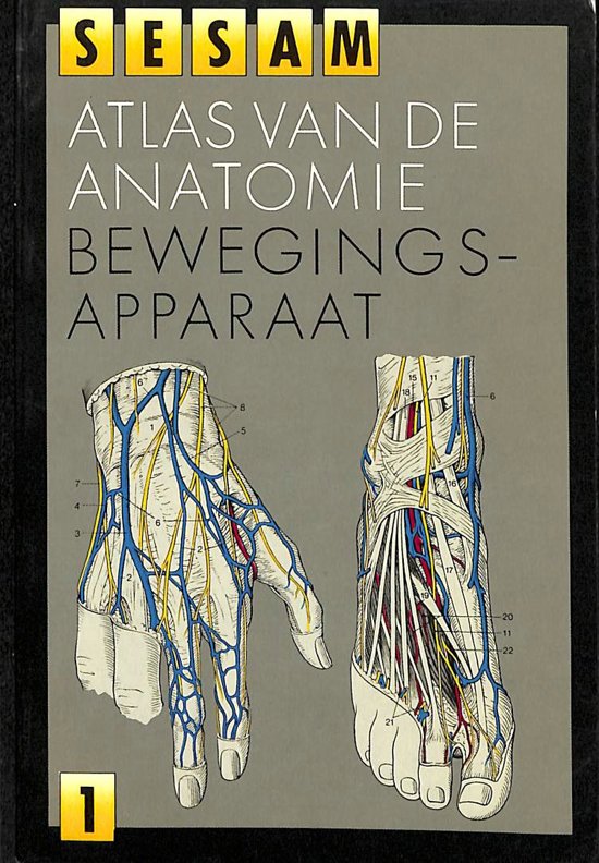 Sesam atlas van de anatomie. Deel 1: Bewegingsapparaat