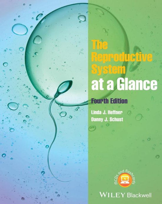 Exam (elaborations) Nursing course   The Reproductive System at a Glance