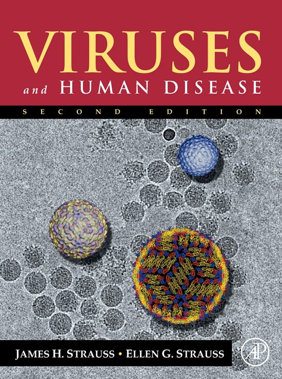 6BBYI316 Viruses and Disease Semester 2 notes 