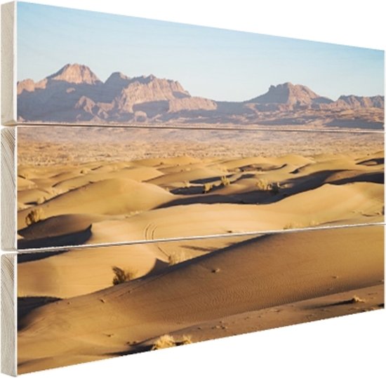Woestijngebied met bergen Iran cover
