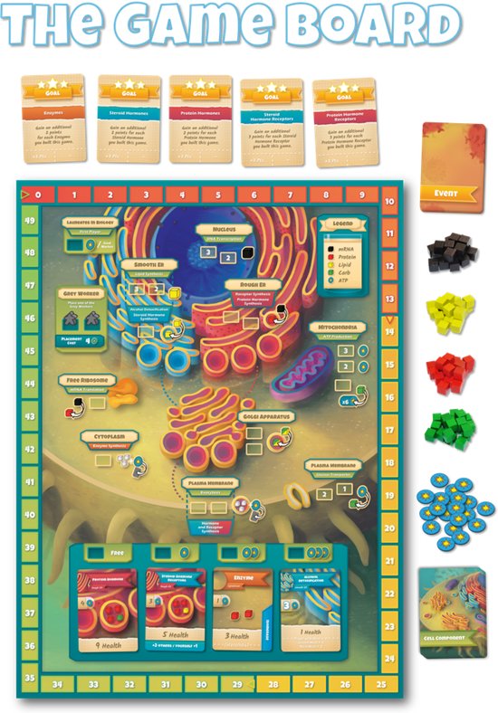 Thumbnail van een extra afbeelding van het spel Cytosis: A Cell Biology Board Game (Engelstalig)
