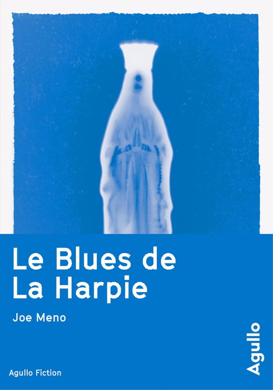 Joe Meno - Le Blues de La Harpie 2017 
