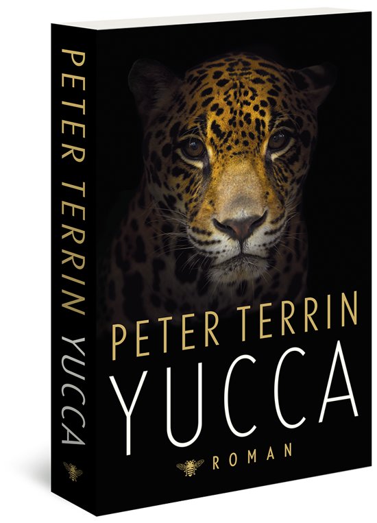 peter-terrin-yucca