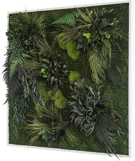 Verticale tuin - Plant islands - 80 x 80cm